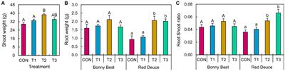 Trichoderma application methods differentially affect the tomato growth, rhizomicrobiome, and rhizosphere soil suppressiveness against Fusarium oxysporum